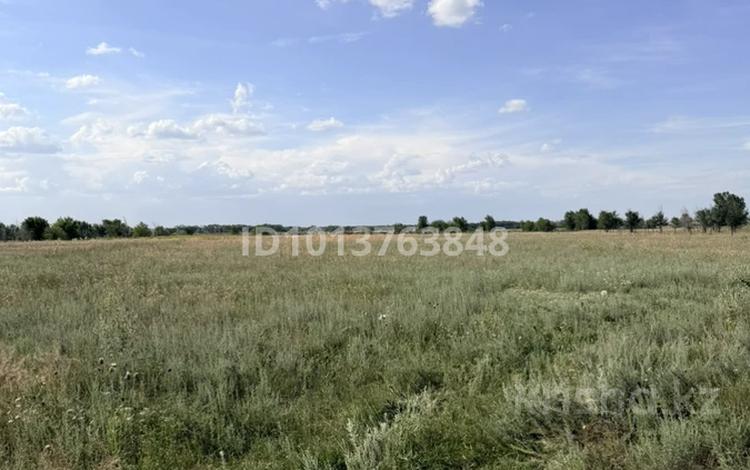 Жер телімі · 3 га, Байкент, бағасы: 36 млн ₸ — фото 2