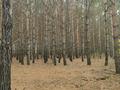 Участок · 36 соток, Микрорайон Самал за 6 млн ₸ в Петропавловске