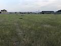 Участок · 20 соток, Бозарык за 30 млн ₸ в Шымкенте — фото 2