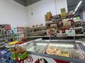 Готового бизнеса · 160 м² за 23 млн ₸ в Астане, Нура р-н — фото 15