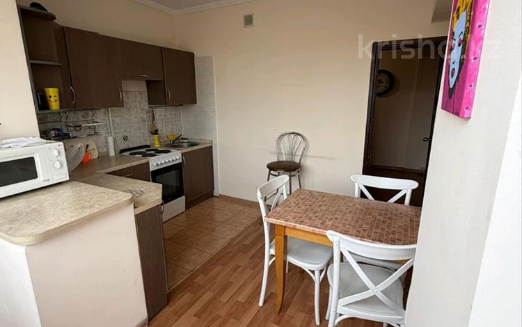 2-комнатная квартира · 56 м² · 5/6 этаж, мкр Самал-1, Жолдасбекова — Назарбаева за 350 000 ₸ в Алматы, Медеуский р-н — фото 12