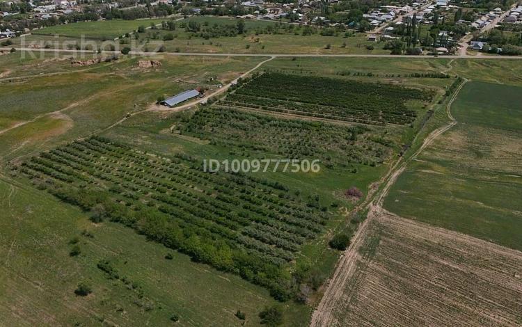 Участок · 8 га, Гранитогорская 777 — Рядом мечеть за 60 млн ₸ в Мерке — фото 2