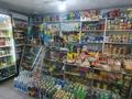 Магазины и бутики · 50 м² за 37 млн ₸ в Семее — фото 2