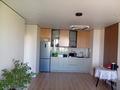1-бөлмелі пәтер · 48 м² · 5/9 қабат, мкр Аккент, Рыскулова, бағасы: 41 млн ₸ в Алматы, Алатауский р-н — фото 16