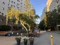 4-комнатная квартира · 120 м² · 9/18 этаж, Отырар — 31 школа за 750 000 ₸ в Астане, р-н Байконур — фото 24