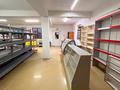 Магазины и бутики · 270 м² за 120 млн ₸ в Жетысу — фото 11