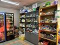Магазины и бутики · 200 м² за 75 млн ₸ в Семее — фото 6