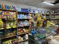 Магазины и бутики · 200 м² за 75 млн ₸ в Семее — фото 7