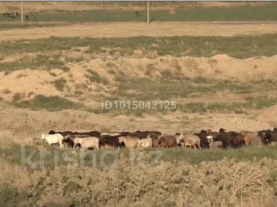 Жер телімі · 1225 сотық, Үштөбе, бағасы: 30 млн ₸ в Уштобе
