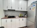 2-комнатная квартира · 38 м² · 4/9 этаж, Байтурсынова 36\1 — Возле Нурлы Жол ГОрячка за 20.7 млн ₸ в Астане, Сарайшык р-н — фото 6