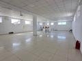 Готовый бизнес · 10200 м², бағасы: 499 млн ₸ в Актау, 29а мкр — фото 11