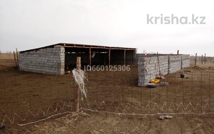 Сельское хозяйство • 200 м² за 8 млн 〒 в Сарыагаш — фото 2