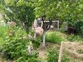 Жеке үй · 5 бөлме · 260 м² · 5 жүзд., Рауан (рекон) 8 улица 211, бағасы: 22 млн ₸ в Умирзаке — фото 9