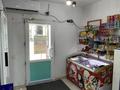 Дүкендер мен бутиктер · 53 м², бағасы: 8 млн ₸ в Астане, Нура р-н