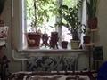 3-бөлмелі пәтер · 56.2 м² · 1/5 қабат, Нұрмақов көшесі 86 — Толе би, бағасы: 52 млн ₸ в Алматы, Алмалинский р-н