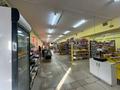 Магазины и бутики • 670 м² за 190 млн 〒 в Астане — фото 7