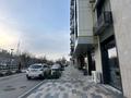 Еркін · 300 м², бағасы: 205 млн ₸ в Шымкенте, Аль-Фарабийский р-н — фото 3