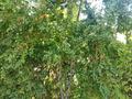 Отдельный дом · 4 комнаты · 55 м² · 25 сот., Қасымбеков 16 за 20 млн ₸ в  — фото 19