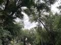 4-бөлмелі пәтер · 135 м² · 3/3 қабат, Назарбаева 216, бағасы: 32 млн ₸ в Уральске — фото 13