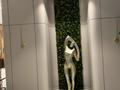 1-комнатная квартира · 32 м² · 4/9 этаж, Полуостров Мангыстау — Риксос за 30 000 ₸ в Актау — фото 16