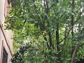 Отдельный дом · 9 комнат · 300 м² · 12 сот., 11-квартал — Микр.Алгабас, ул. Курылысшы за 140 млн ₸ в Коксай (пути Ильича) — фото 39