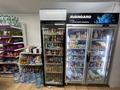 Магазины и бутики · 70 м² за 26.5 млн ₸ в Астане, Сарыарка р-н — фото 5