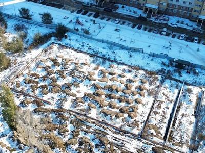 Участок · 31 сотка, Малайсары батыра 59/1 — Малайсары батыра 53 за 80 млн 〒 в Павлодаре