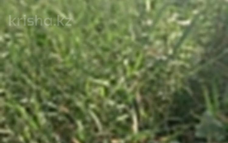 Участок · 10 соток, мкр Шугыла, Кенжетаева 72 за 84 млн ₸ в Алматы, Наурызбайский р-н — фото 6