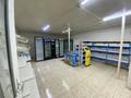 Свободное назначение · 1000 м² за 21 млн ₸ в Актау — фото 11