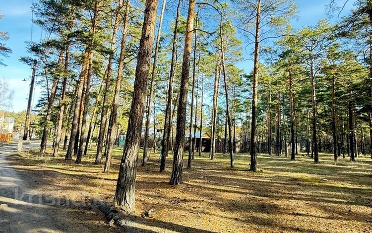 Участок · 2 сотки, Санаторий Светлый за 8 млн ₸ в Щучинске — фото 2