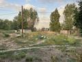 Отдельный дом · 3 комнаты · 60 м² · 16 сот., Азаттык 22 за 26 млн ₸ в Байсерке — фото 3
