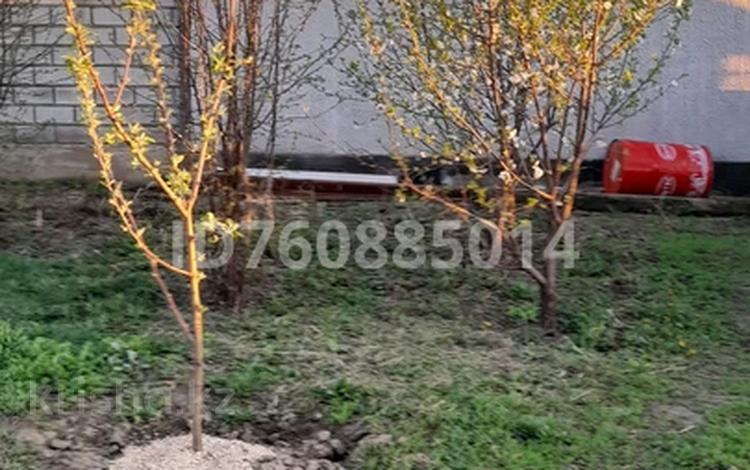 Участок · 4 сотки, мкр Мадениет 40 — Акбиик за 14 млн 〒 в Алматы, Алатауский р-н — фото 18