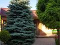Отдельный дом · 6 комнат · 472 м² · 14 сот., мкр Таужолы — улица Досмухамедова за 269 млн 〒 в Алматы, Наурызбайский р-н — фото 5