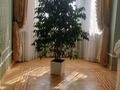 Отдельный дом · 6 комнат · 472 м² · 14 сот., мкр Таужолы — улица Досмухамедова за 269 млн 〒 в Алматы, Наурызбайский р-н — фото 21