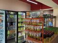 Магазины и бутики · 70 м² за 75 млн ₸ в Алматы, Жетысуский р-н — фото 12