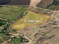 Жер телімі · 5 га, Каскасу, бағасы: 13 млн ₸ — фото 3