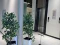 3-комнатная квартира · 88 м² · 5/14 этаж, Е 669 4 за 75 млн ₸ в Астане, Есильский р-н — фото 12