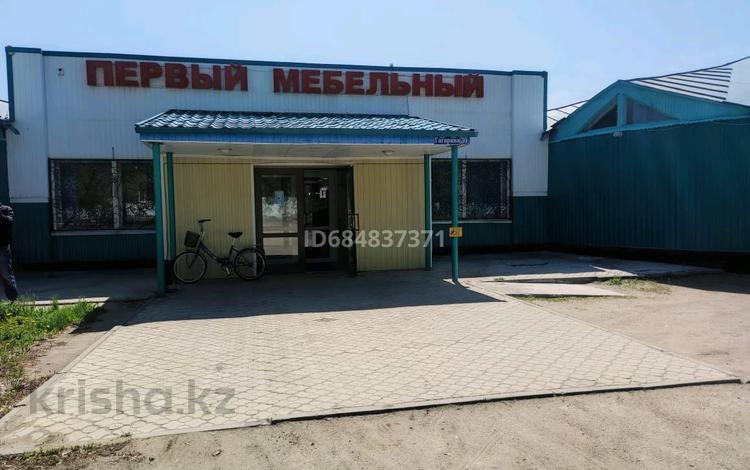 Магазины и бутики • 540 м² за 39 млн 〒 в Карабалыке — фото 2