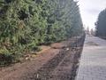 Участок · 14 соток, Галыма Елемесова 17 за 8 млн ₸ в Щучинске — фото 6