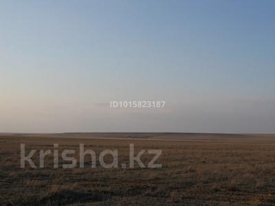 Участок · 271 га, Туркестан за 40 млн ₸