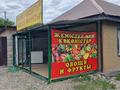 Магазины и бутики · 15 м² за 70 000 ₸ в Усть-Каменогорске, Меновное — фото 7