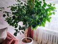 2-бөлмелі пәтер · 45 м² · 4/5 қабат, Морозова 49, бағасы: 14.9 млн ₸ в Щучинске — фото 9