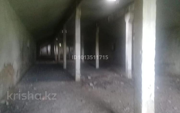 Овощехранилище, капитальное, · 1000 м² за 19.5 млн ₸ в Домбыралы — фото 2
