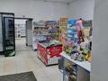 Свободное назначение · 80 м² за 80 млн ₸ в Астане, Нура р-н — фото 5