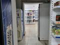 Свободное назначение · 80 м² за 80 млн ₸ в Астане, Нура р-н — фото 7