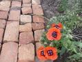 Жеке үй · 3 бөлме · 90 м² · 20 жүзд., Кайрат 1 /1а — Около Жандосово, бағасы: 170 000 ₸ в Алматы — фото 19