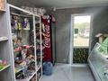 Магазины и бутики · 20 м² за 10 млн ₸ в Кокшетау — фото 3