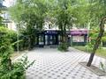 Магазины и бутики, общепит, салоны красоты, медцентры и аптеки · 76.4 м² за 95 млн ₸ в Алматы — фото 28