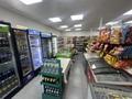 Свободное назначение, магазины и бутики · 320 м² за 130 млн ₸ в Усть-Каменогорске — фото 14