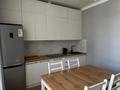 1-комнатная квартира · 47 м² · 4/16 этаж, мкр Пригородный, Анет баба 9/1 за 250 000 ₸ в Астане, Есильский р-н — фото 9